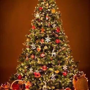 sapin
